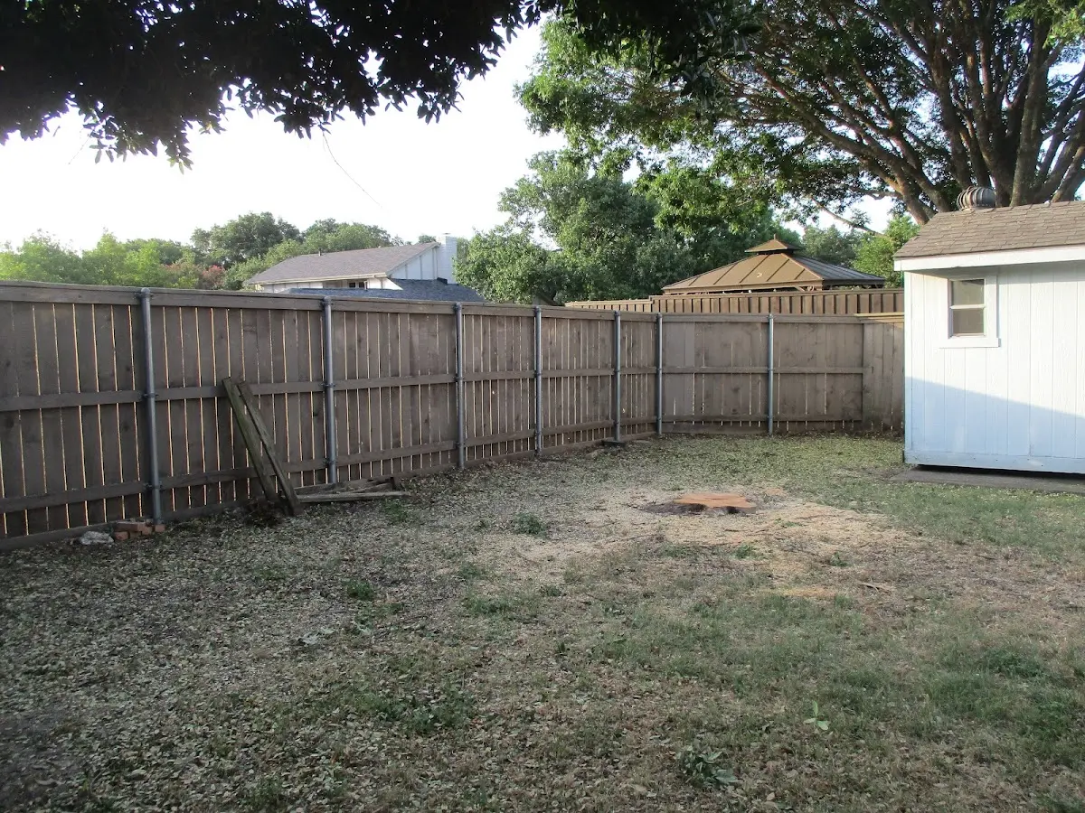 Cleared yard after professional tree removal in Ripley